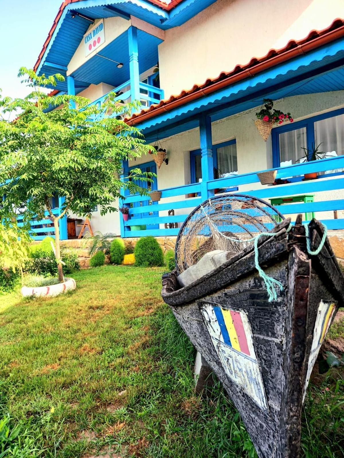 Casa David Hotel Dunavatu de Sus Exterior photo