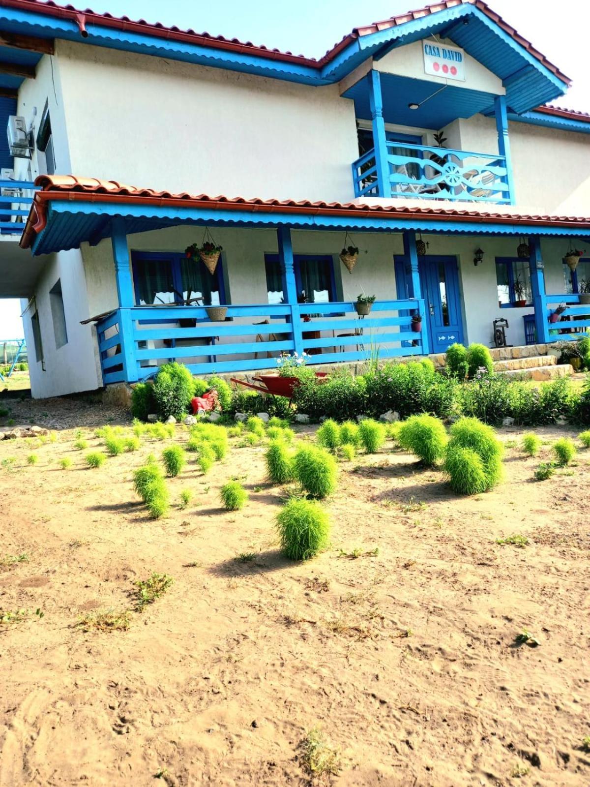 Casa David Hotel Dunavatu de Sus Exterior photo